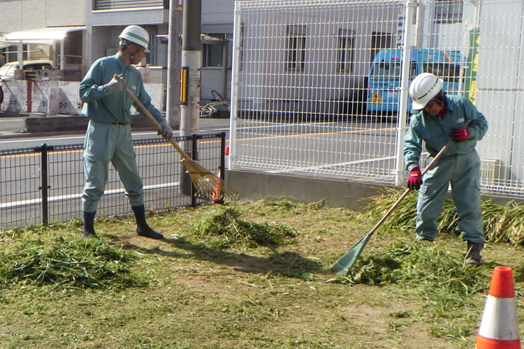 雑草・防草